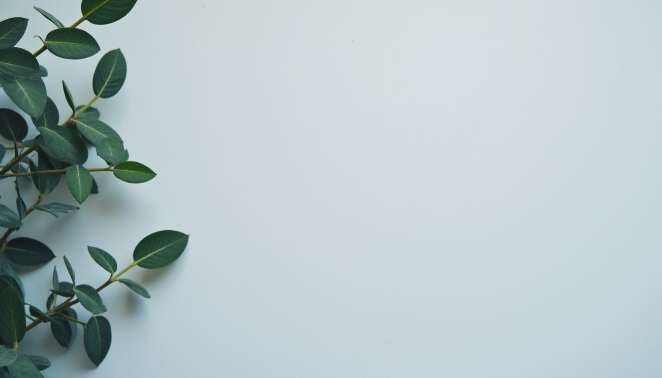 Écran de gestion des licences et inscriptions dans l